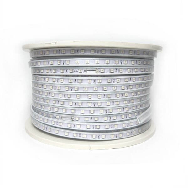 SMD 5050 LED RGB Strip light AC220V/110V 60D